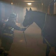 Chicago Fire - galeria zdjęć - filmweb