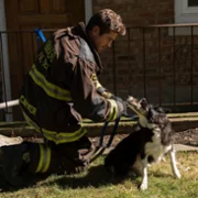 Chicago Fire - galeria zdjęć - filmweb