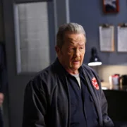 Chicago Fire - galeria zdjęć - filmweb