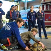 Chicago Fire - galeria zdjęć - filmweb