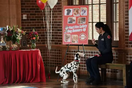 Chicago Fire - galeria zdjęć - filmweb