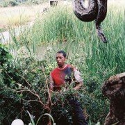 Lęk pierwotny - galeria zdjęć - filmweb