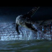 Primeval - galeria zdjęć - filmweb