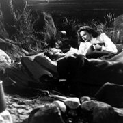Morze traw - galeria zdjęć - filmweb