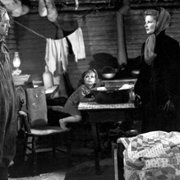 The Sea of Grass - galeria zdjęć - filmweb