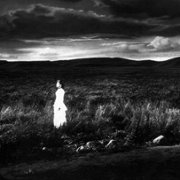 The Sea of Grass - galeria zdjęć - filmweb
