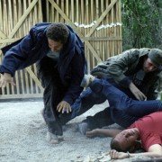 Wholetrain - galeria zdjęć - filmweb