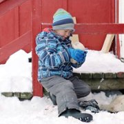 Une année polaire - galeria zdjęć - filmweb
