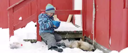 Polarny rok - galeria zdjęć - filmweb