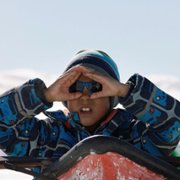 Une année polaire - galeria zdjęć - filmweb