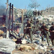 The Human Shield - galeria zdjęć - filmweb