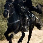 The Legend of Zorro - galeria zdjęć - filmweb
