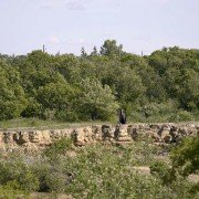 Channel Zero: Candle Cove - galeria zdjęć - filmweb