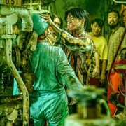 Wilcze stado - galeria zdjęć - filmweb