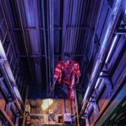 Wilcze stado - galeria zdjęć - filmweb