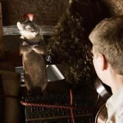 Opowieści z Narnii: Podróż Wędrowca do Świtu - galeria zdjęć - filmweb