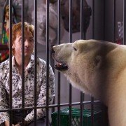 Endgame - galeria zdjęć - filmweb
