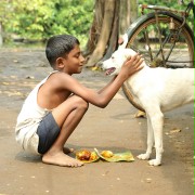 Kuttappayi