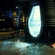 The Fly - galeria zdjęć - filmweb