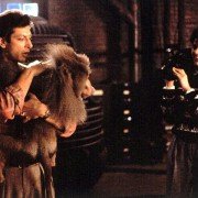 The Fly - galeria zdjęć - filmweb