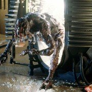 The Fly - galeria zdjęć - filmweb