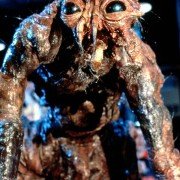 The Fly - galeria zdjęć - filmweb