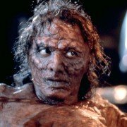The Fly - galeria zdjęć - filmweb