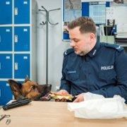 Policjantki i policjanci - galeria zdjęć - filmweb