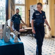 Policjantki i policjanci - galeria zdjęć - filmweb