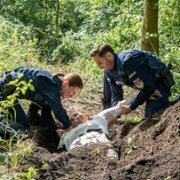 Policjantki i policjanci - galeria zdjęć - filmweb