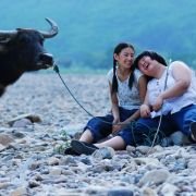 Tiao Chu Qu - galeria zdjęć - filmweb
