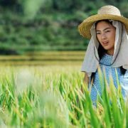 Tiao Chu Qu - galeria zdjęć - filmweb