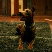 Varg Veum - I mørket blir alle ulver grå - galeria zdjęć - filmweb