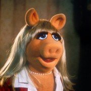 Muppets From Space - galeria zdjęć - filmweb