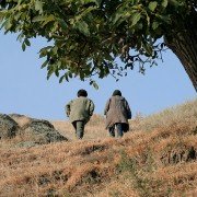 Trzy twarze - galeria zdjęć - filmweb
