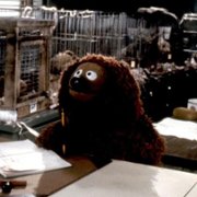 The Muppets Take Manhattan - galeria zdjęć - filmweb