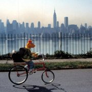 The Muppets Take Manhattan - galeria zdjęć - filmweb