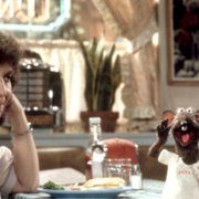 Muppety podbijają Broadway - galeria zdjęć - filmweb