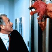 Muppety podbijają Broadway - galeria zdjęć - filmweb