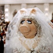 The Muppets Take Manhattan - galeria zdjęć - filmweb