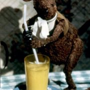 The Muppets Take Manhattan - galeria zdjęć - filmweb