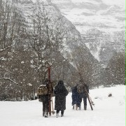 Palmeras en la nieve - galeria zdjęć - filmweb