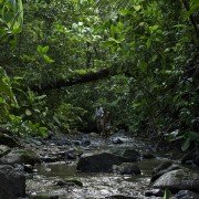Palmeras en la nieve - galeria zdjęć - filmweb