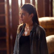 Palmeras en la nieve - galeria zdjęć - filmweb