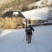 Palmeras en la nieve - galeria zdjęć - filmweb