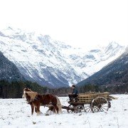 Palmeras en la nieve - galeria zdjęć - filmweb