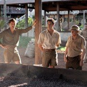 Palmeras en la nieve - galeria zdjęć - filmweb