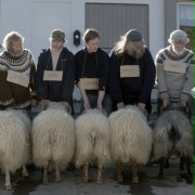 Barany. Islandzka opowieść - galeria zdjęć - filmweb