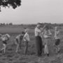 Reduta - galeria zdjęć