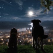 Lady and the Tramp - galeria zdjęć - filmweb